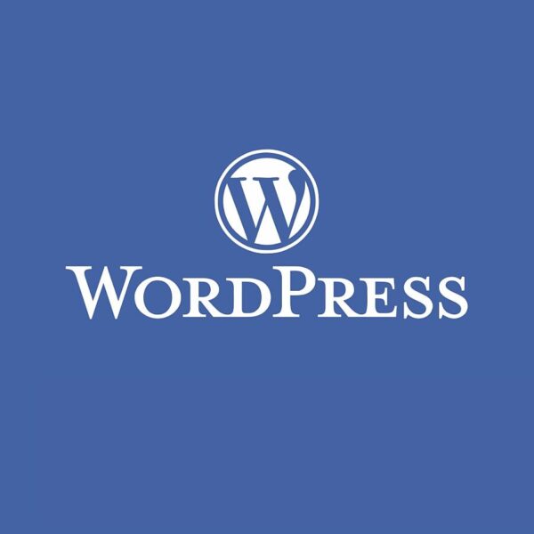 Wordpress Administration Basic for 1 year